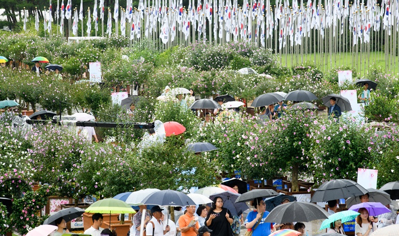 8월 15일, 제74주년 광복절 경축식이 '우리가 되찾은 빛, 함께 밝혀 갈 길' 슬로건 아래 천안 독립기념관에서 열렸다. 비가 오는 궂은 날씨에도 독립유공자를 포함한 약 2000여명의 시민이 행사에 참석했다. 효자동사진관