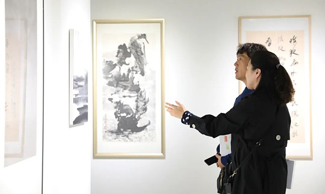 驻华韩国文化院举行《磁力——沟通美学》展览