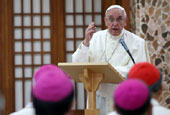 教皇在海美圣地会晤亚洲主教