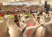 2016世界跆拳道文化博览会