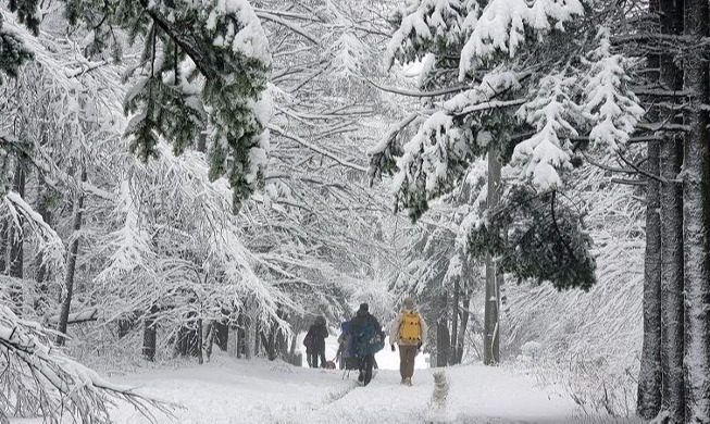 沿着大关岭雪路散步的游客