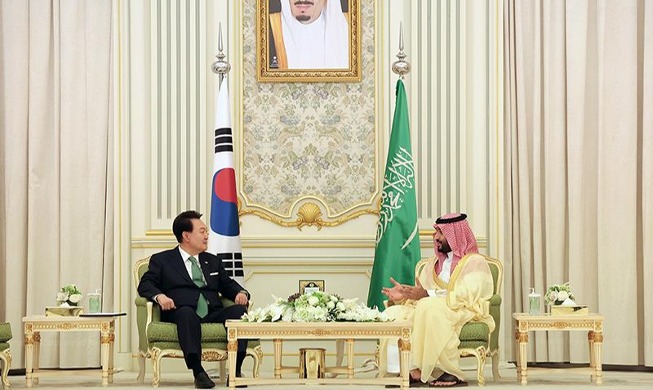 韩沙首脑会晤：期待进一步深化两国关系