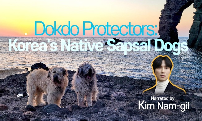 守护独岛的韩国狮子狗视频在三一节前公开
