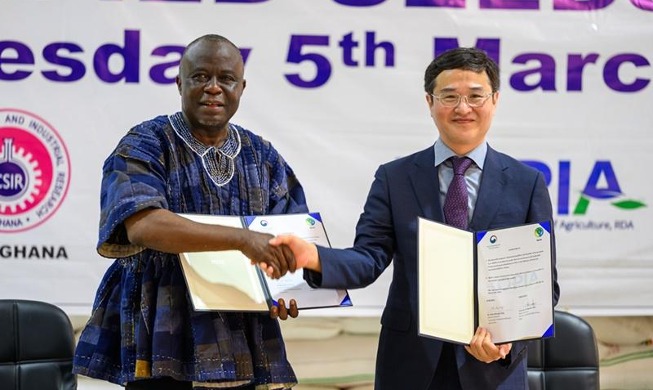 韩国非洲水稻良种生产事业在加纳初见成效