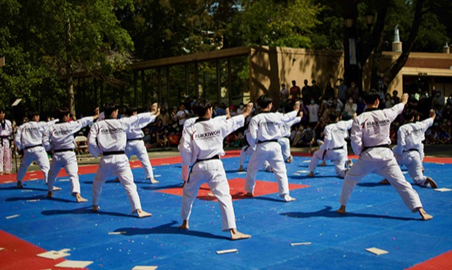 韩文体部公开纪念“跆拳道日”的影像
