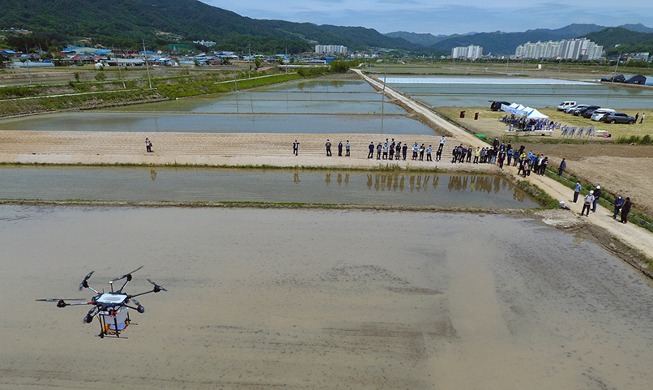 【图片看韩国】 大型无人机播种
