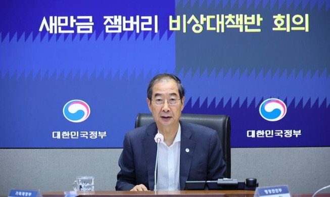 韩总理韩德洙：政府将向世界童军大露营成员提供全方位支援