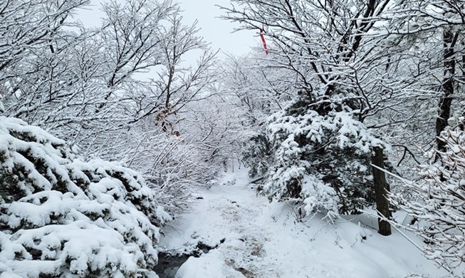 冬季攀登汉拿山之旅