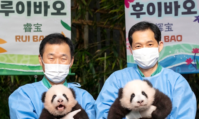 在韩大熊猫双胞胎取名睿宝与辉宝