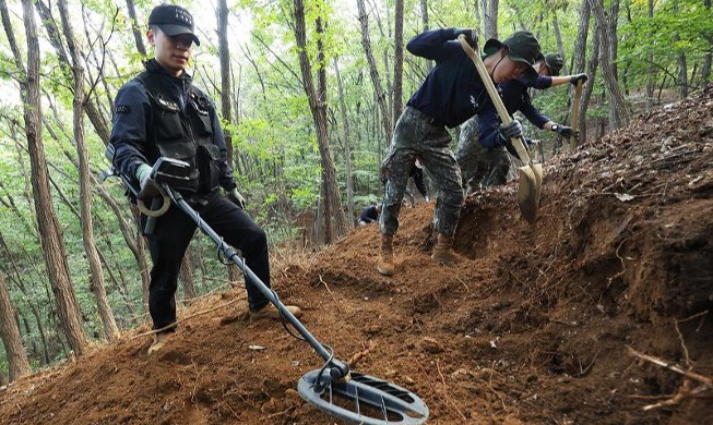 挖掘韩国战争阵亡者遗骸的官兵们