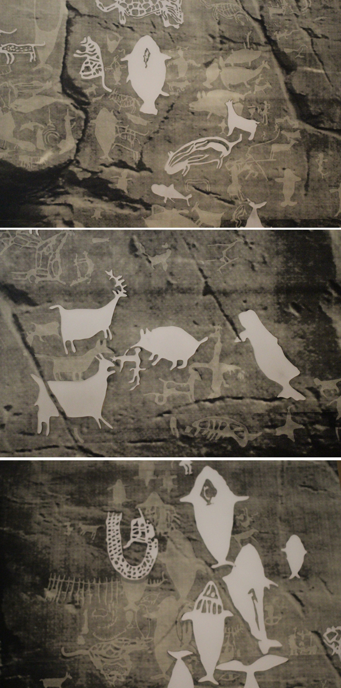 암각화에 새겨진 다양한 동물의 형상