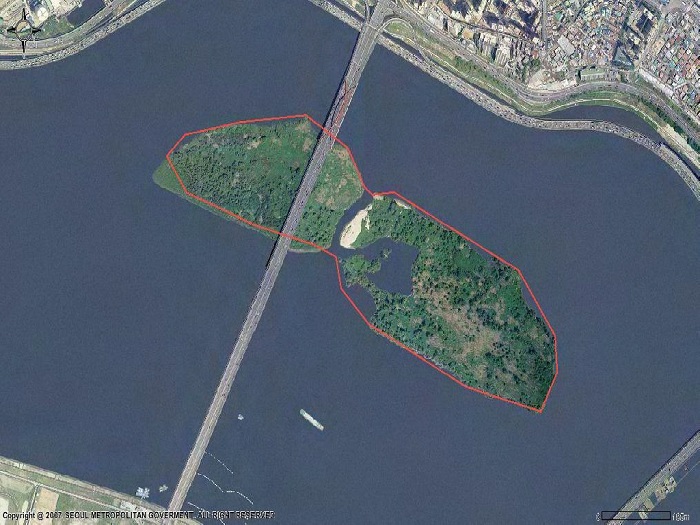 인공위성에서 바라본 오늘날 밤섬. 1968년 폭파됐을 당시보다 자연의 퇴적작용으로 무려 6배나 커졌다. (사진: 서울특별시)