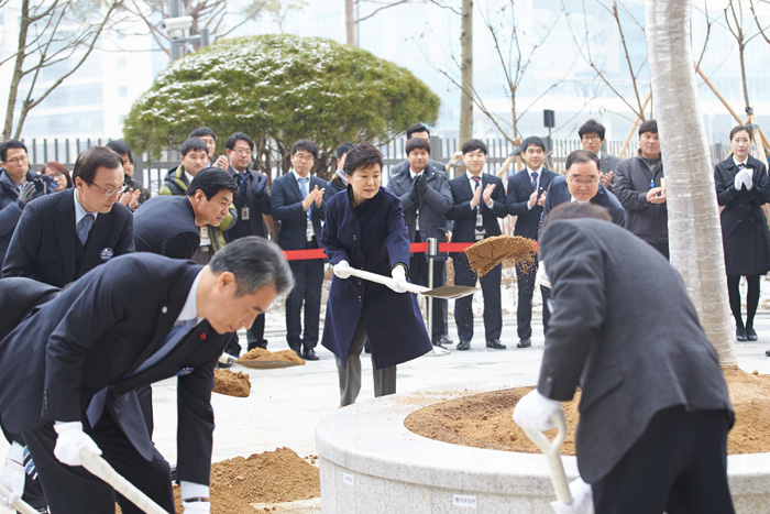 박근혜 대통령이 23일 정부세종청사 완공식에 참석한 뒤, 기념식수를 하고 있다. 