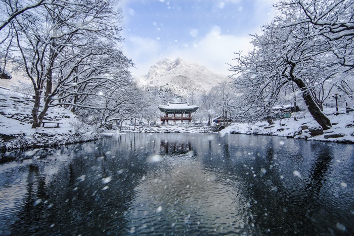 获得优秀奖的《双溪楼的冬天》，描绘了下雪的内藏山白羊寺双溪楼的如画风景如画。图片来源：国立公园管理公团