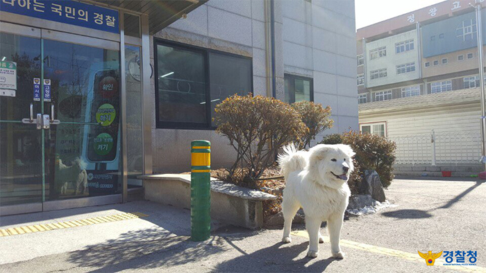 경기도 시흥 옥구지구대의 마스코트인‘옥도리'는 경찰관들과 동네 시민들에게 인기스타다. 