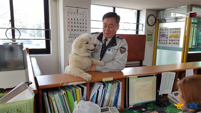 몸은 커졌어도 여전히 애교덩어리인 옥도리. 이런 옥도리 덕에 지구대의 분위기가 한껏 부드러워졌다. 