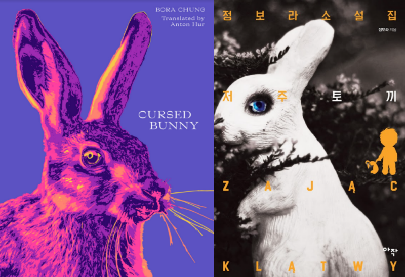 入围2022年国际布克奖决选短名单的韩国作家郑宝罗（音）的短篇小说集《诅咒兔子》英文版封面（左）和韩文版封面（右）。图片来源：绿皮书