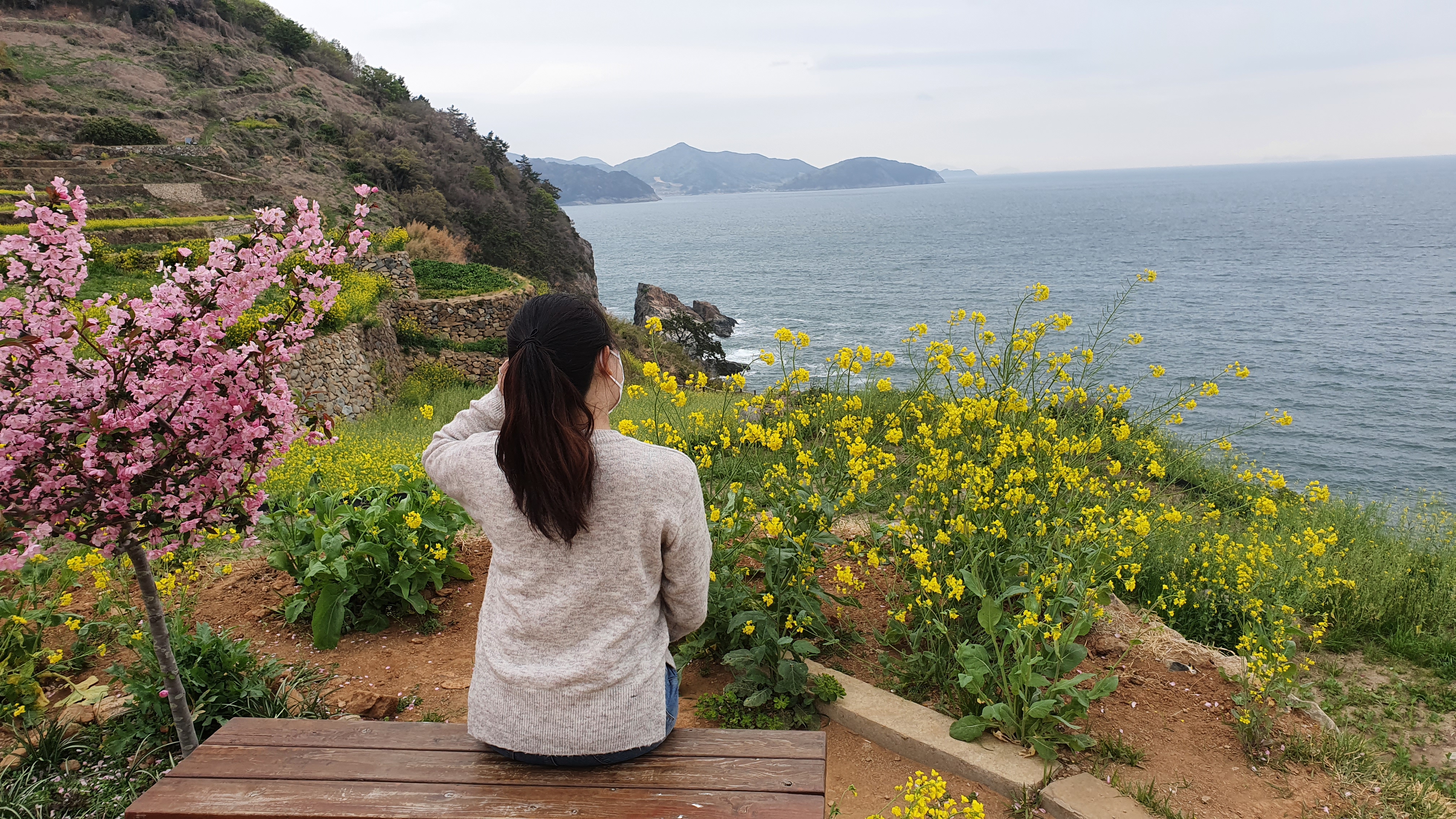 在加川梯田村，最近因可看到优美风景的咖啡馆和餐厅受人欢迎。韩宣网记者金惠麟 摄