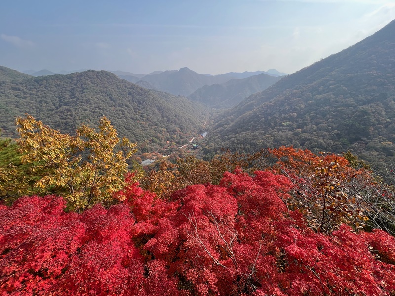 10月26日，韩宣网记者来到了内藏山国立公园。图为内藏山展望台的燕子台上瞭望的内藏山全景。韩宣网记者吴金花 摄