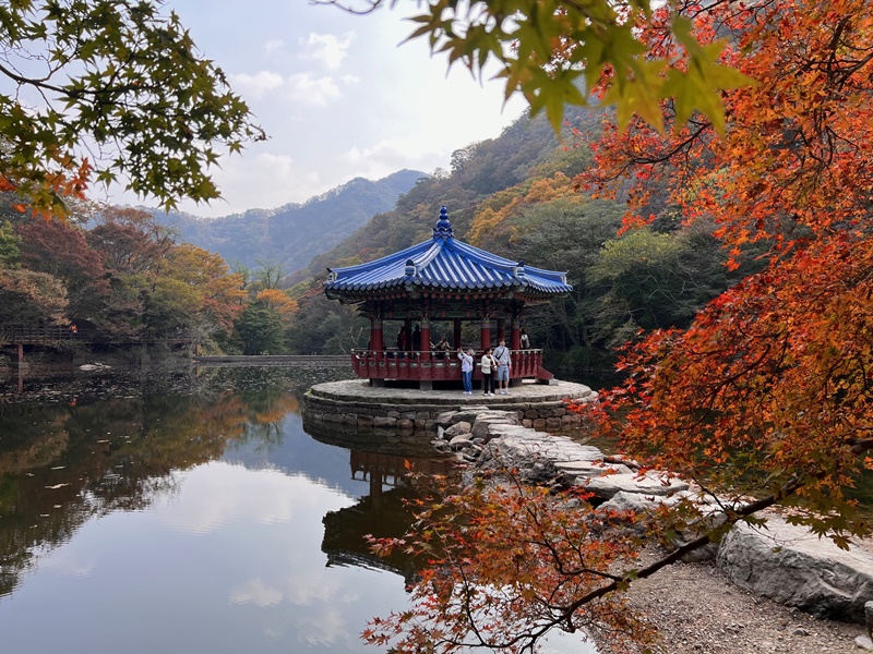 羽化亭位于内藏山旅游咨询处的不远处，是内藏山国立公园的代表性枫叶拍摄场所。韩宣网记者吴金花 摄