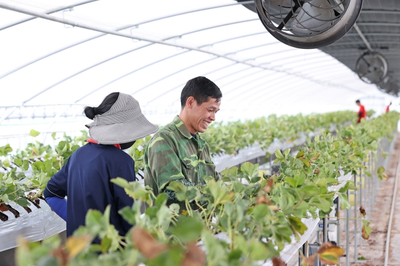 2月25日，韩国法务部表示，到今年年末将推行实施“留学生（D-2）父母季节劳动邀请制”，让停留在韩国国内的外国留学生父母可作为季节劳动者在韩工作。图片来源：任实郡