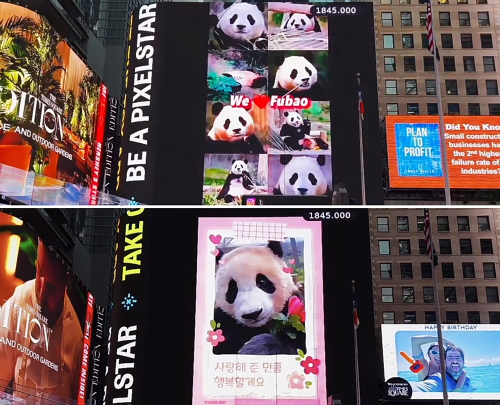 当地时间4月9日，在美国纽约时代广场大型电子屏幕上播出了福宝视频。该广告由福宝的中国粉丝自费投放，照片和视频则在福宝的日本粉丝帮助下完成。图片来源：TSX Livestream截图 