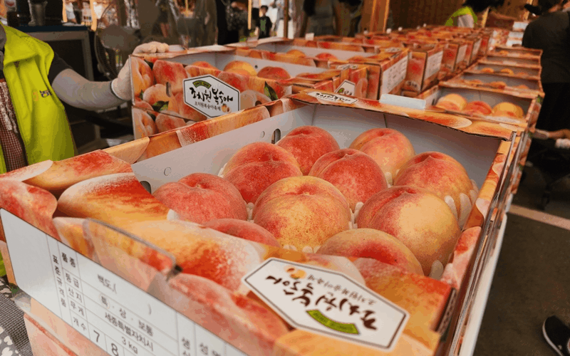 7月26日至28日，第22届“鸟致院蜜桃庆典”在世宗市民运动场和道里公园等鸟致院邑一带举行。1908年，韩国农村振兴厅在鸟致院设果树试验示范园区，开始栽培桃子，这里栽培桃子的技术已有116年历史。韩宣网记者Hong Angie 摄