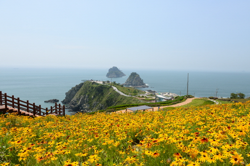 海波朗路和南波朗路的起点——釜山五六岛迎日公园。图片来源：Durunubi