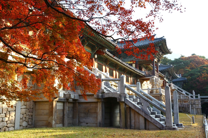 庆州佛国寺的青云桥和白云桥。图片来源：韩国观光公社Photo Korea李凡秀（音）摄