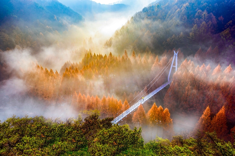 长泰山自然休养林。图片来源：韩国观光公社Photo Korea李凡秀（音）摄