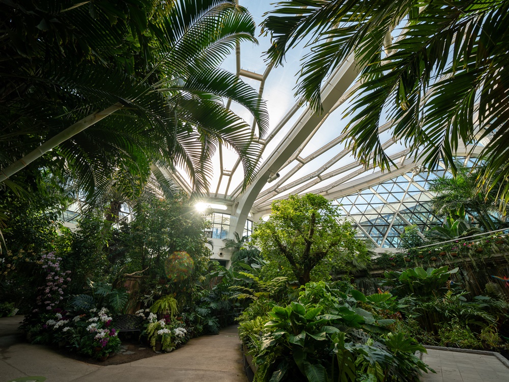 参观首尔植物园的温室，一年四季都能感受到浓郁绿意的夏日氛围。图片来源：韩国旅游发展局