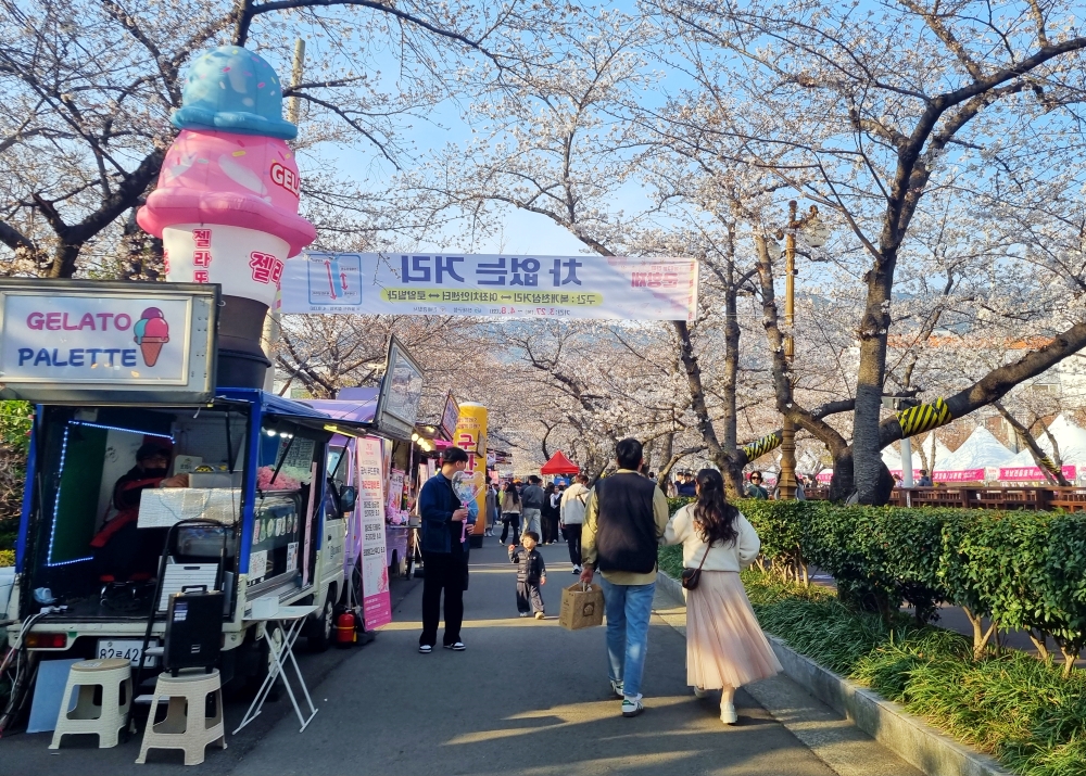 3月31日，游客们在庆尚南道昌原市镇海区参观第63届镇海军港节。韩宣网记者Aisylu Akhmetzianova 摄