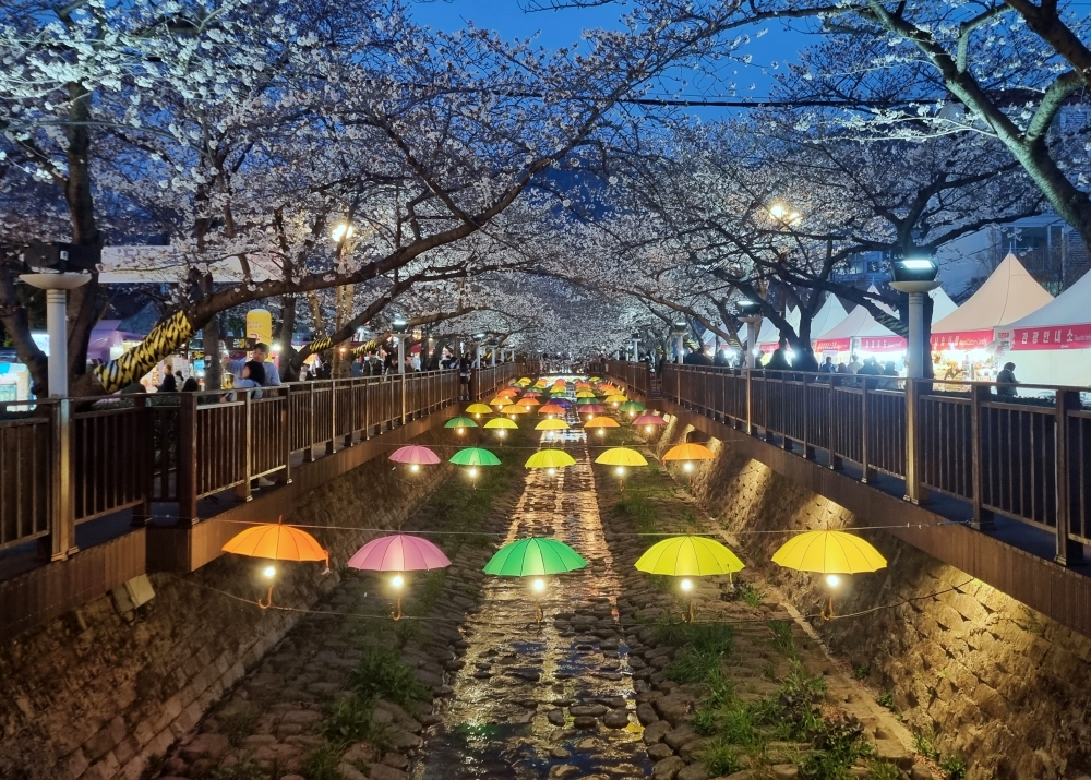 镇海军港节期间，庆尚南道昌原市镇海区余佐川星光庆典夜景。韩宣网记者Aisylu Akhmetzianova 摄