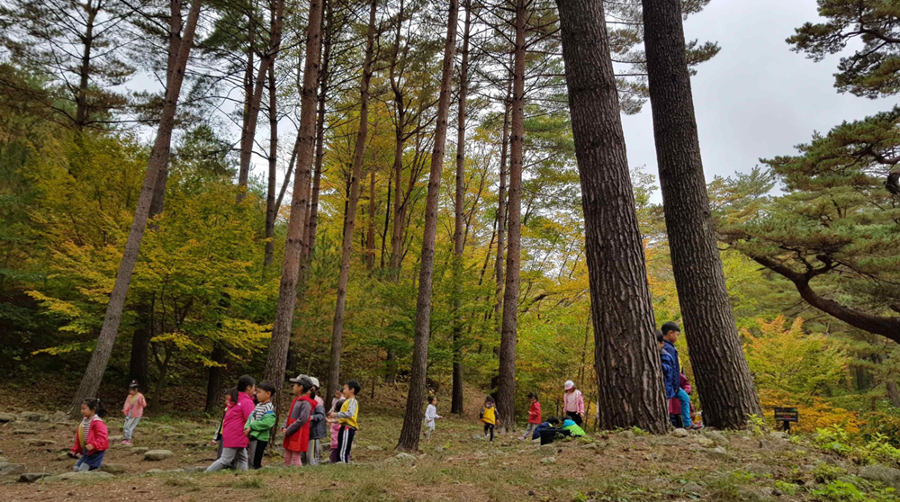 入选全球重要农业文化遗产的“蔚珍金刚松山地农业系统”。图片来源：农林畜产食品部