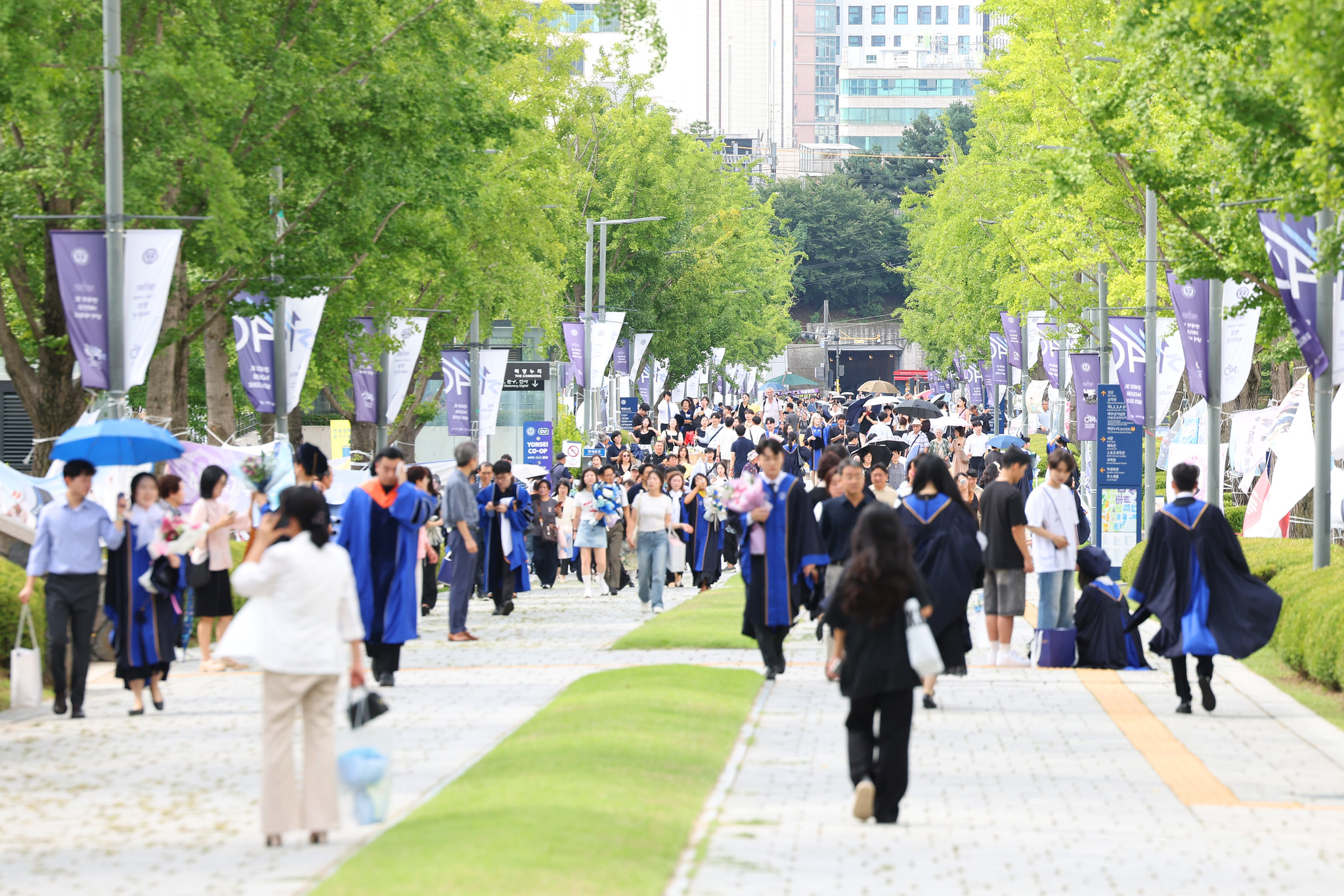 韩国青年接受高等教育程度连续17年居OECD之首: Korea.net : 大韩民国官方网站