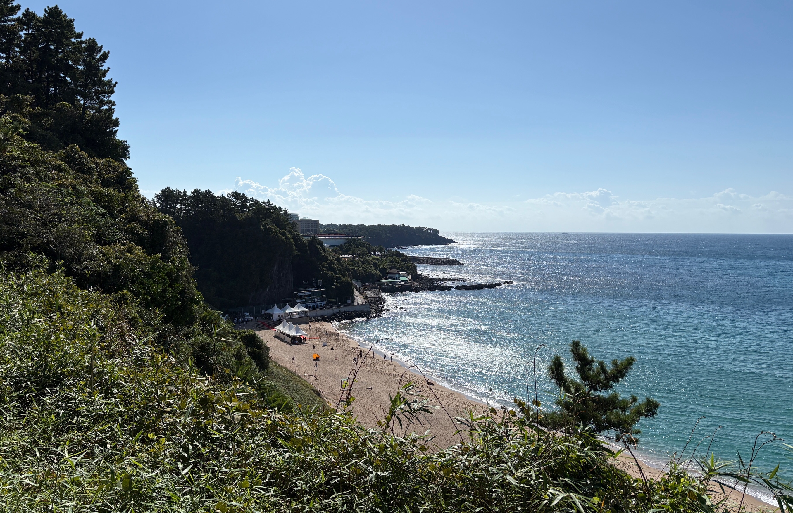 9月11日，济州西归浦中文穑达海水浴场。该区域渔业活动较少，且便于通往海龟主要栖息地——太平洋，因此被选定为放归地点。韩宣网记者Charles Audouin 摄