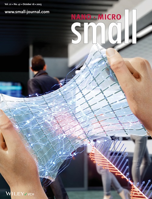 图为国际学术期刊《Small》的十月封面。图片来源：韩国科学技术院