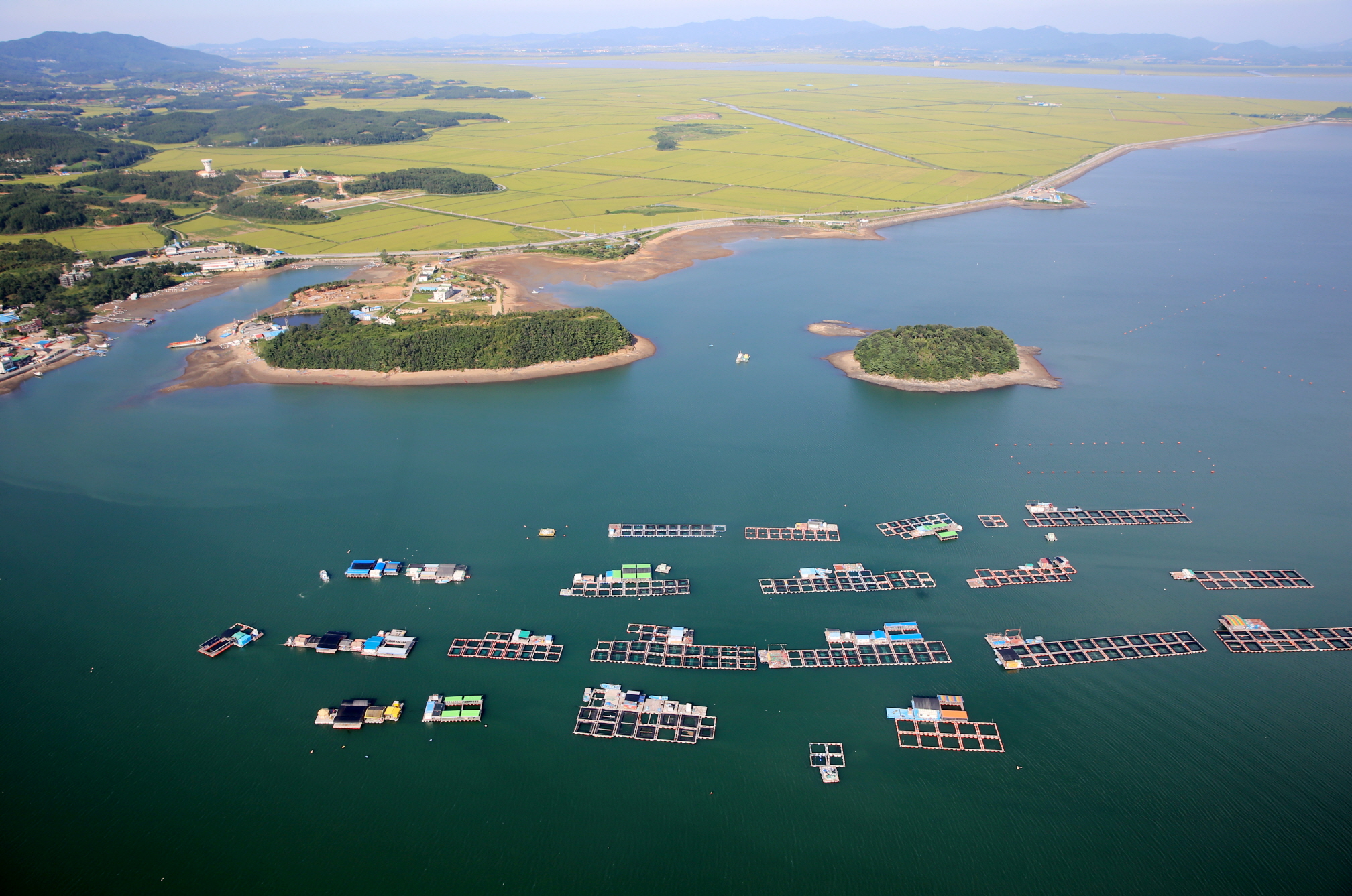 1月5日，韩国海洋水产部和法务部表示，从今年起外籍养殖技术人员在国内的雇佣范围将扩大至16个养殖品种领域。图为位于忠清南道泰安的一处养殖场。图片来源：泰安郡