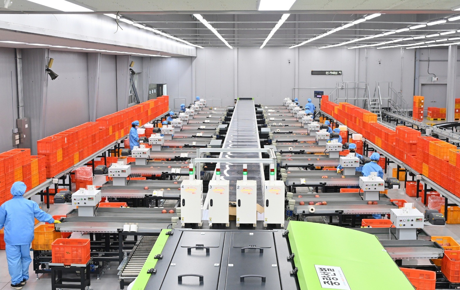 庆尚北道自2023年开始对在全道133个农产品产地流通中心中的16个进行规模化与智能化建设。图为智慧APC内部。图片来源：庆尚北道