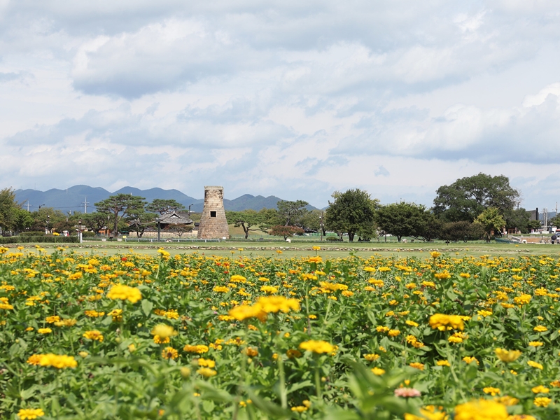 韩国文化体育观光部宣布将于4月至5月开展&ldquo;2026春日去旅行&rdquo;活动。本次活动将推出交通、住宿、旅游产品等多种折扣优惠，并提供全国各地丰富多彩的文化旅游内容。图为庆州瞻星台。韩宣网记者朴大珍 摄