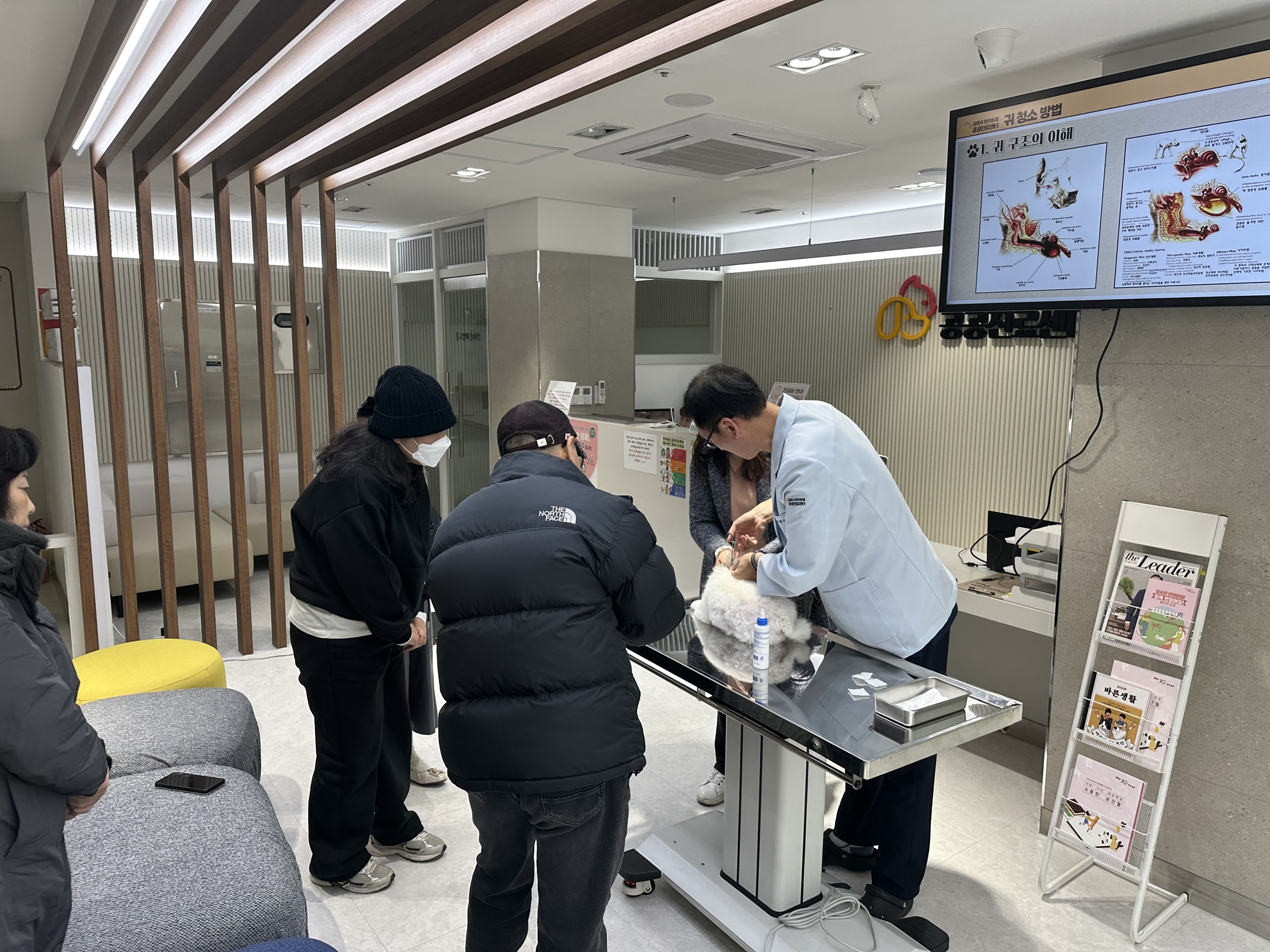 京畿道金浦市4月2日表示，将通过宠物公共诊疗中心优化服务，包括减免走失及流浪动物诊疗费用并扩大诊疗范围。图为一只宠物犬正在金浦市宠物公共诊疗中心接受治疗。图片来源：金浦市宠物公共诊疗中心