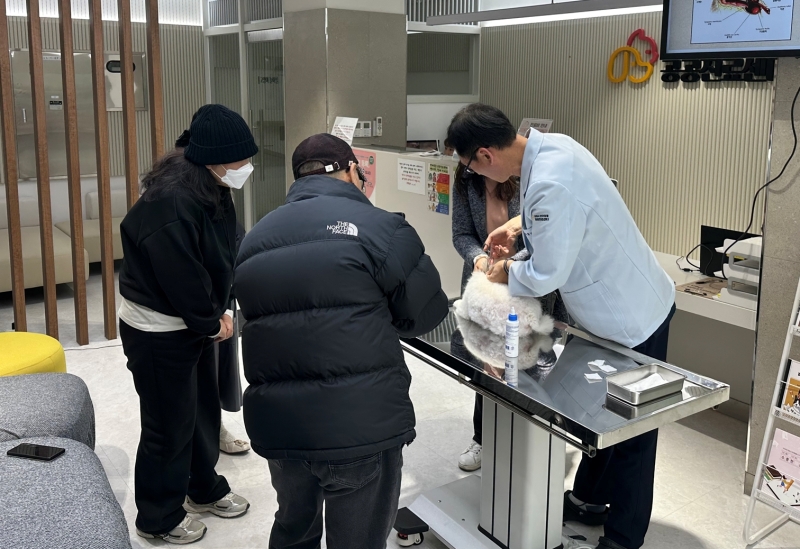 京畿道金浦市宠物公共诊疗中心医护人员正在进行诊疗。图片来源：金浦市宠物公共诊疗中心