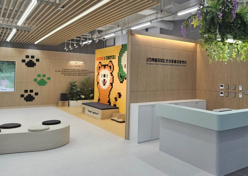 去年11月6日开馆的江原特别自治道宠物支援中心内部。图片来源：江原特别自治道
