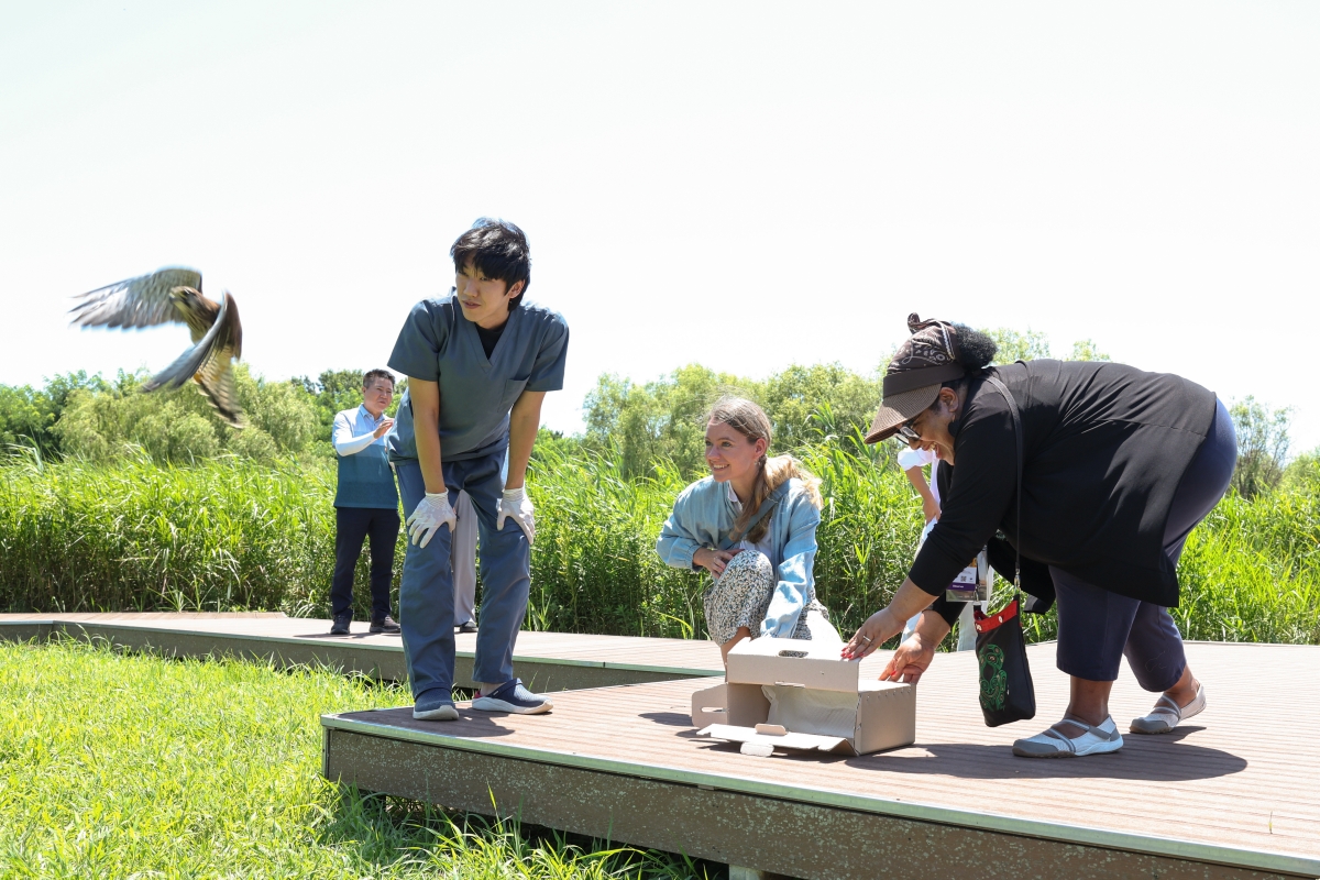 7月24日，在釜山市沙下区洛东江河口生态中心，参加“洛东江下游候鸟栖息地生态之旅”的游客将一只完成救护的鸟类放归自然。野生动物救护中心会将经过治疗、恢复健康的野生动物重新放归自然。对于因伤残等原因无法放归野外的动物，则安置在水鸟替代栖息地进行长期照护，直至生命终结。韩宣网记者朴大珍 摄