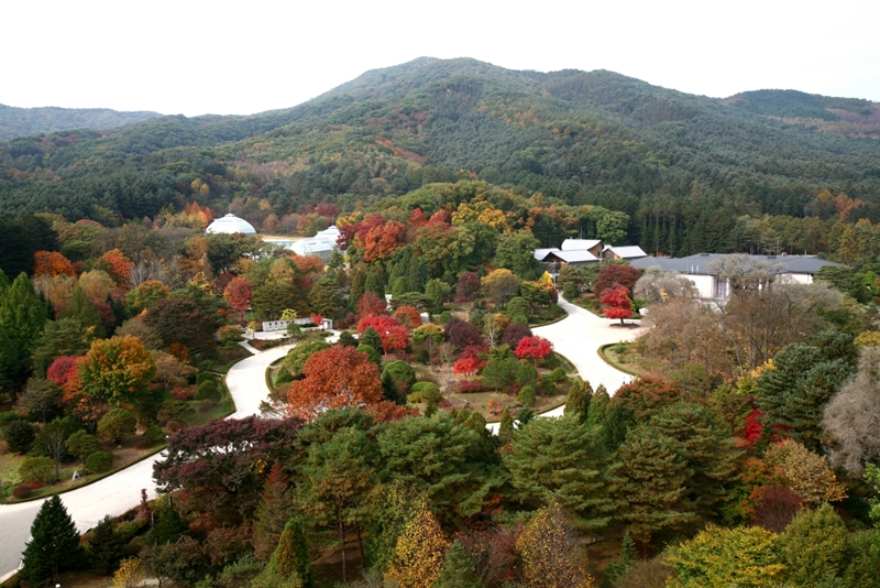 韩国山林厅和国立树木园9月2日宣布，光陵林和4处国立自然休养林正式以OECM身份列入世界保护区数据库（WDPCA）。图为光陵林全景。图片来源：山林厅