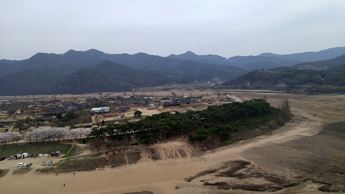 河回村全景。上图是河回村左边的樱花树一条街,下图的松林是为防止洪水、挡风而种植的万松亭。