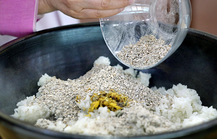 뜨겁게 쪄낸 고두밥에 말린 국화와 누룩가루를 넣고 함께 섞는다.