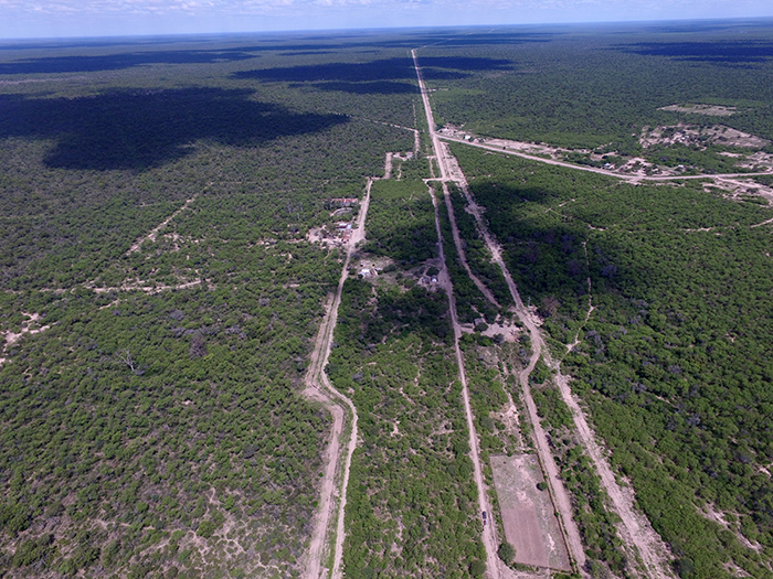 한국이 2020년까지 농업ㆍ축산ㆍ산림단지 등 총 9천㏊를 개발할 계획인 아르헨티나 야타마우카 농장 전경.