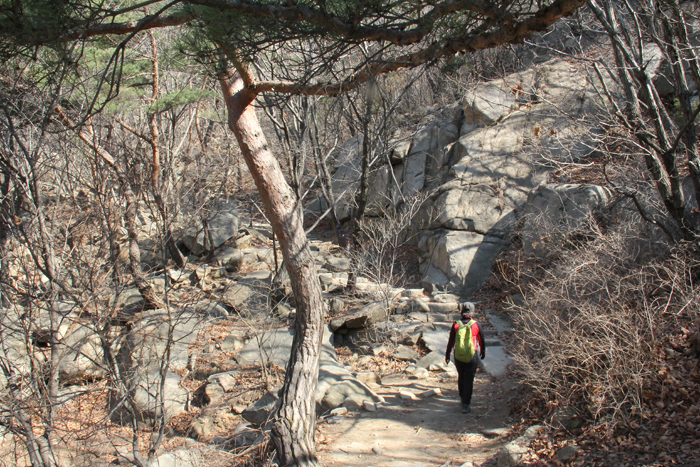 따스한 봄 햇살이 비추는 등산로는 평일이라 그런지 비교적 한산하다. 