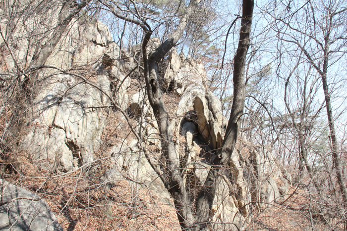 등산로 상층부에 도달하면 곳곳에서 기암괴벽을 볼 수 있다. 